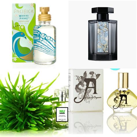 alcohol free perfume brands|perfume without alcohol in us.